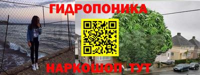 ПСИЛОЦИБИНОВЫЕ ГРИБЫ Кандалакша