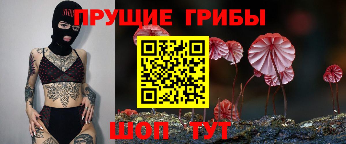 Лангепас  Псилоцибиновые грибы Cubensis  Вход с VPN 